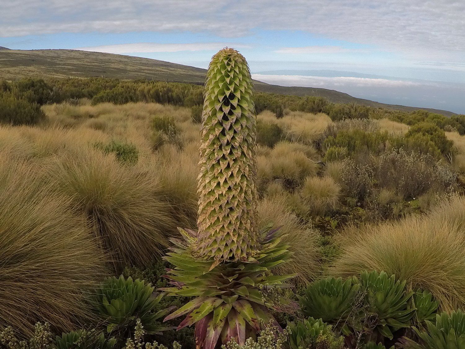 Meru Central, Kenya - Polarsteps