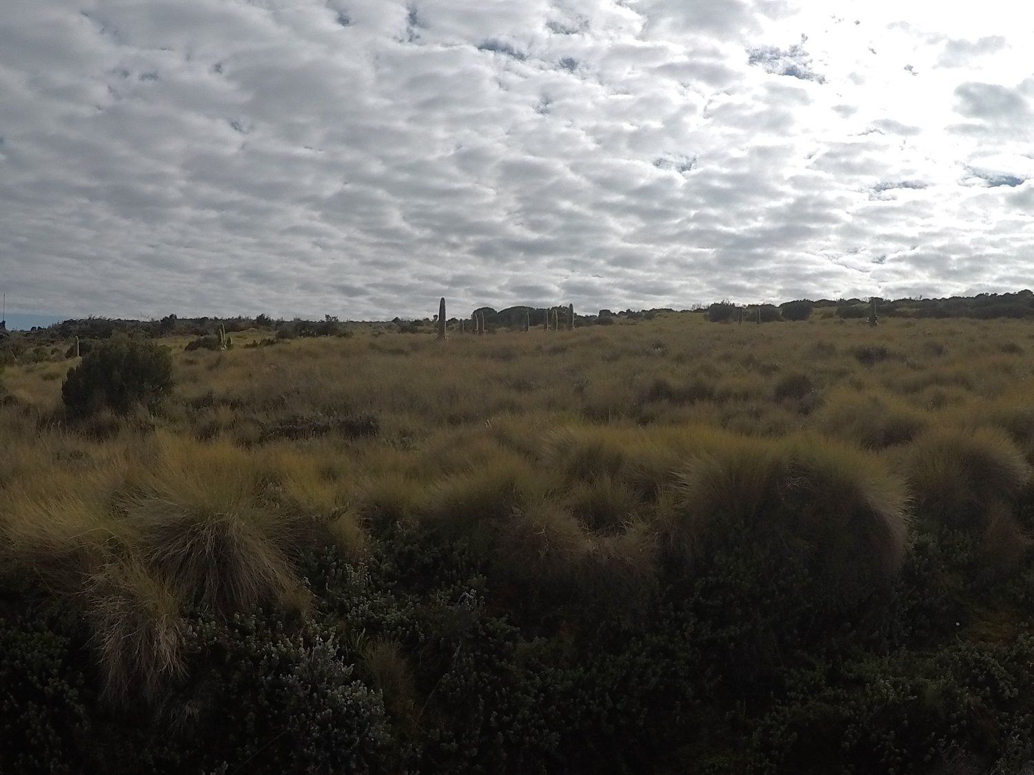 Meru Central, Kenya - Polarsteps