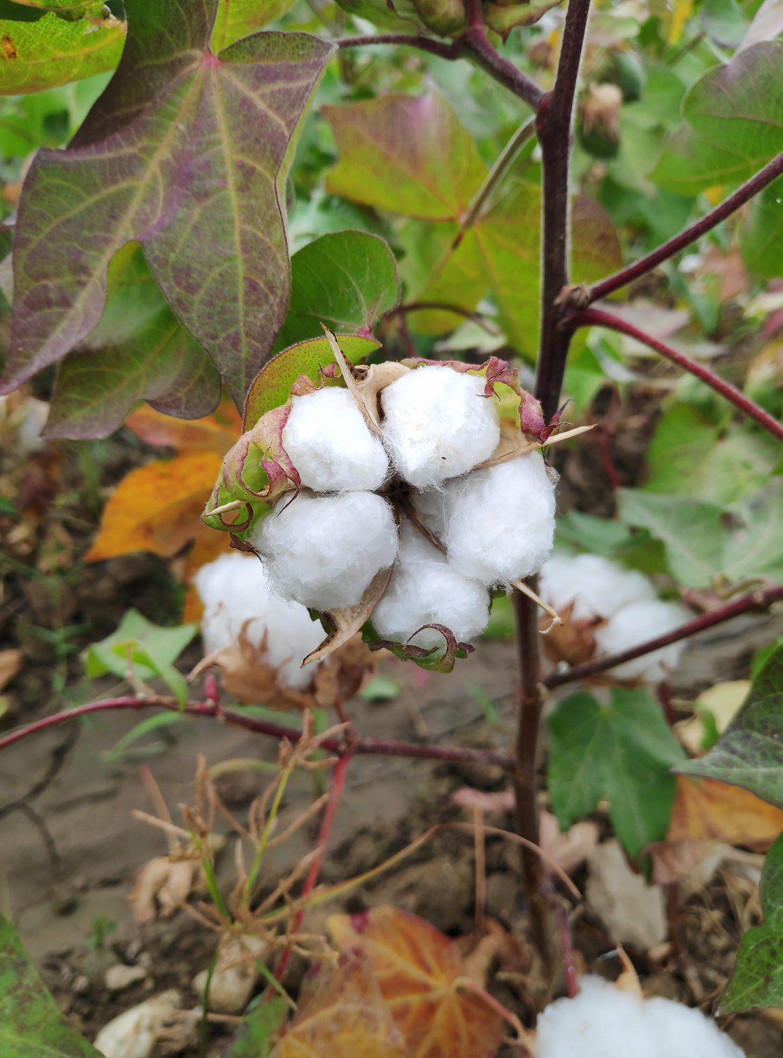 Nooken District, Kyrgyzstan Polarsteps