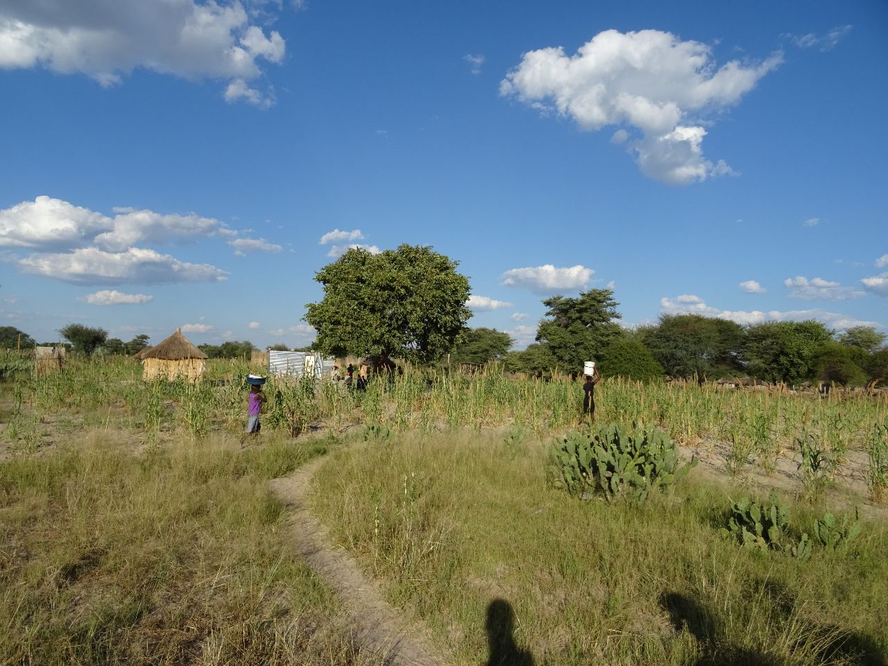 Rundu Rural East, Namibia - Polarsteps