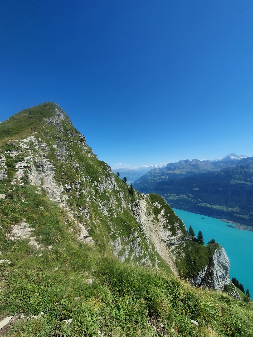 Niederried Bei Interlaken, Switzerland Polarsteps