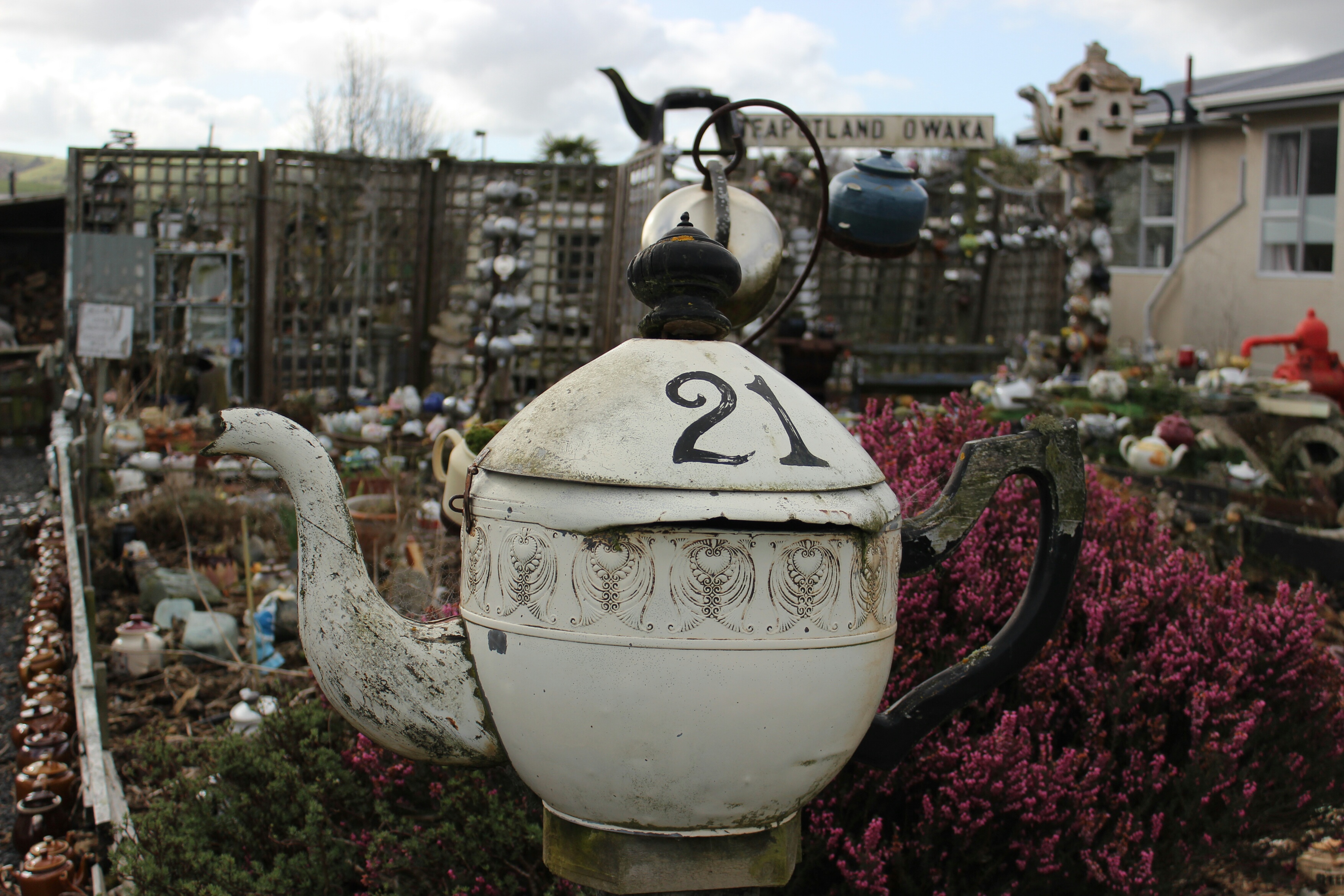 Clutha District, New Zealand Polarsteps