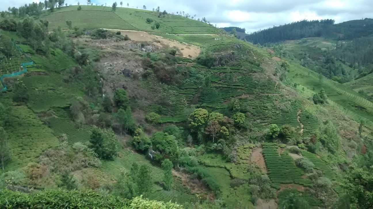 Manjoor, India - Polarsteps