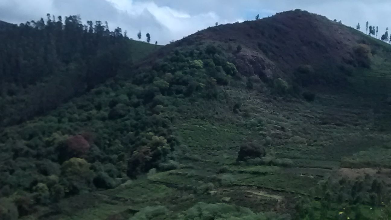 Manjoor, India - Polarsteps