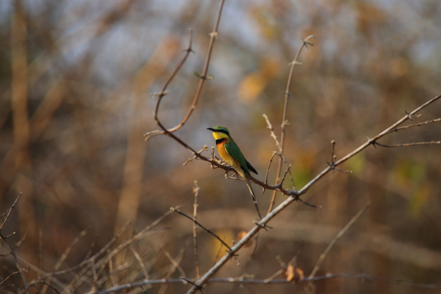 Mambwe, Zambia - Polarsteps