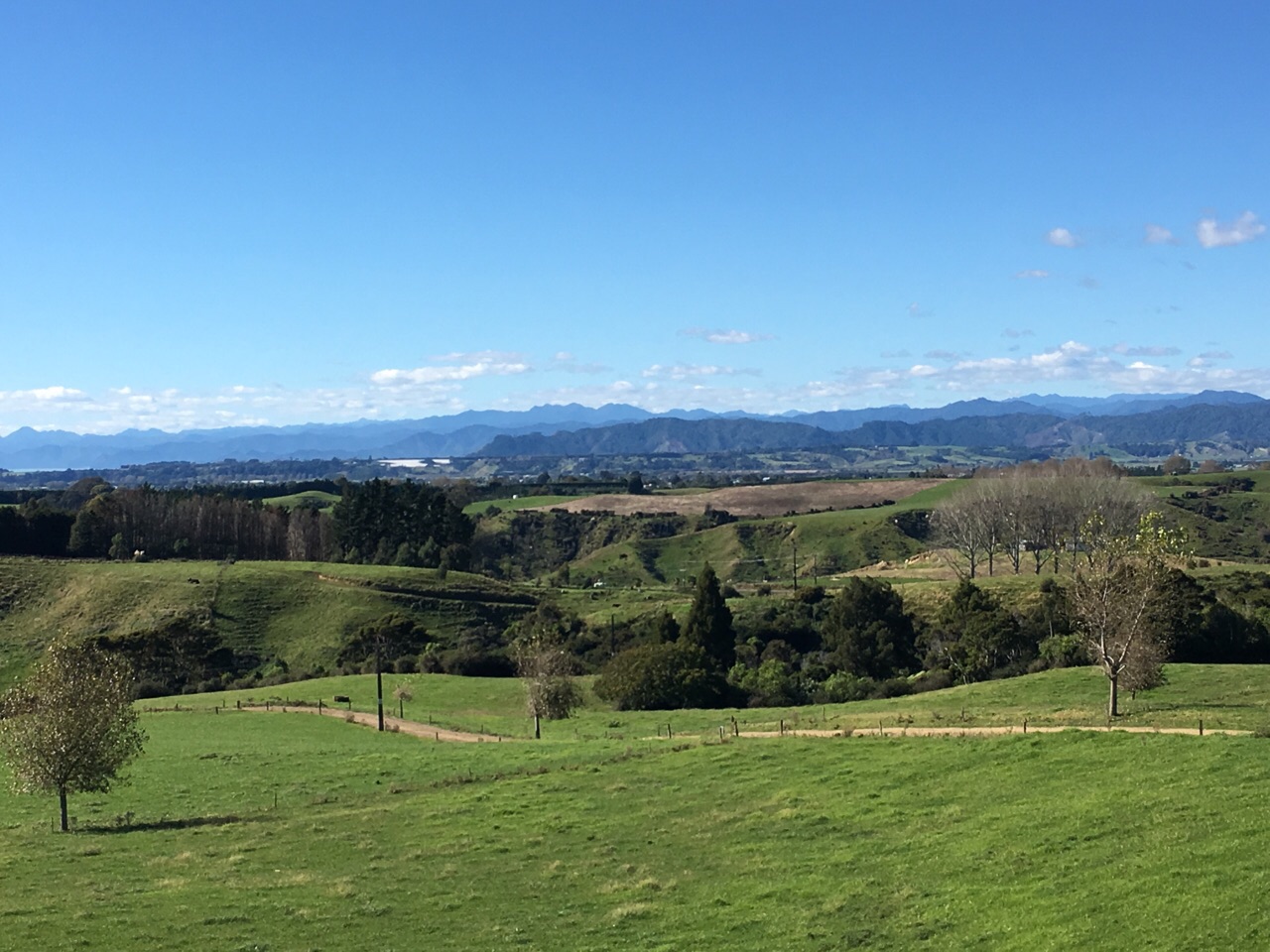 Opotiki, New Zealand Polarsteps