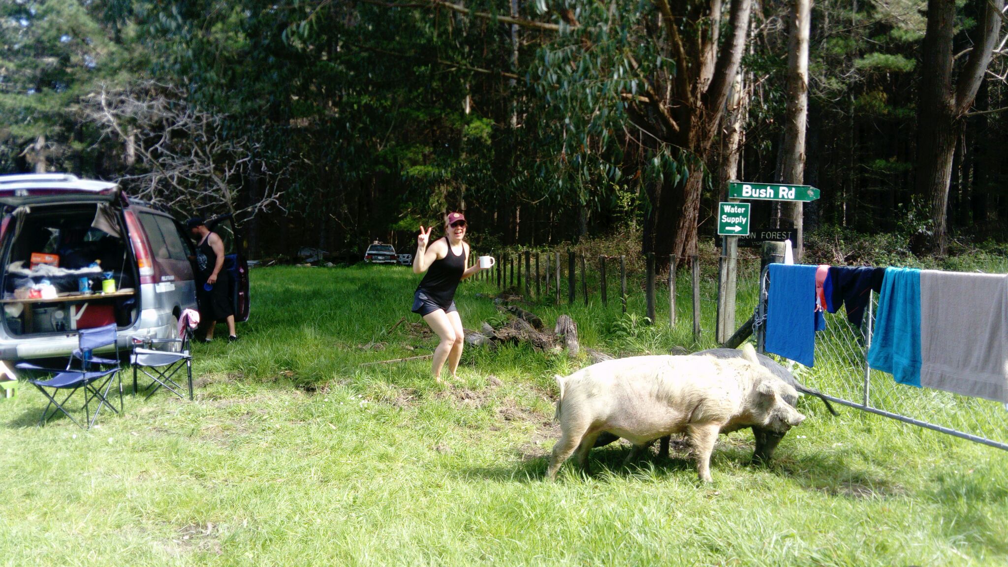 Raupunga, New Zealand - Polarsteps