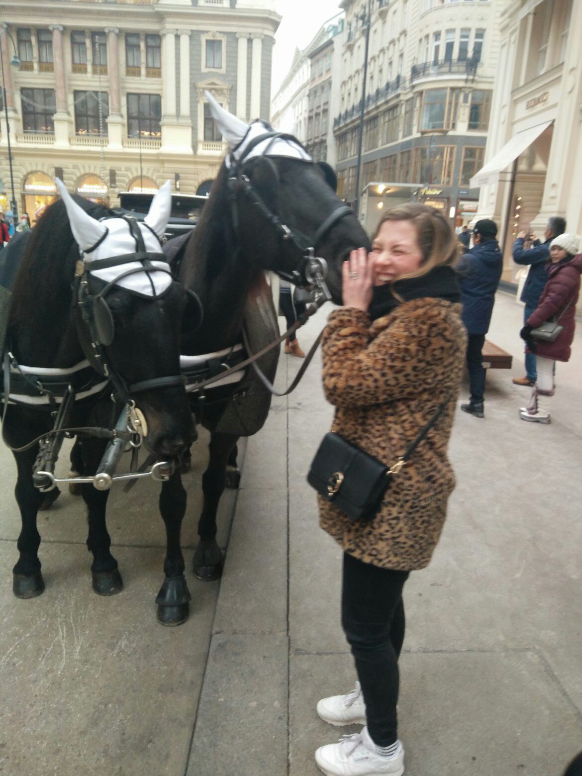 lauren-oostenbrug-s-traveler-profile-on-polarsteps