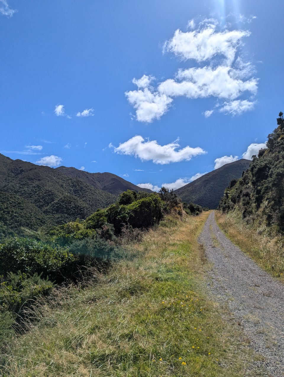 Point Howard, New Zealand - Polarsteps