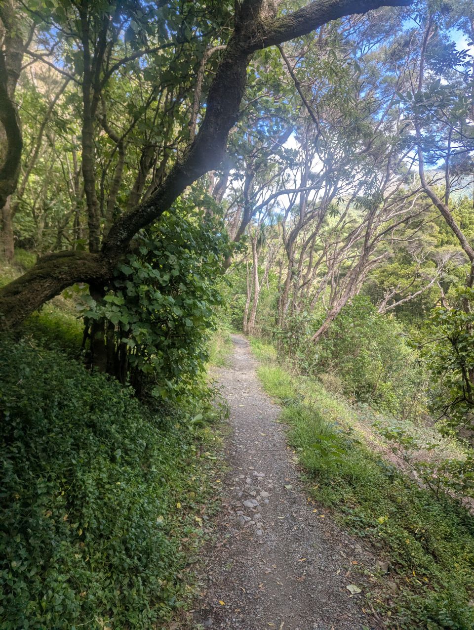 Point Howard, New Zealand - Polarsteps