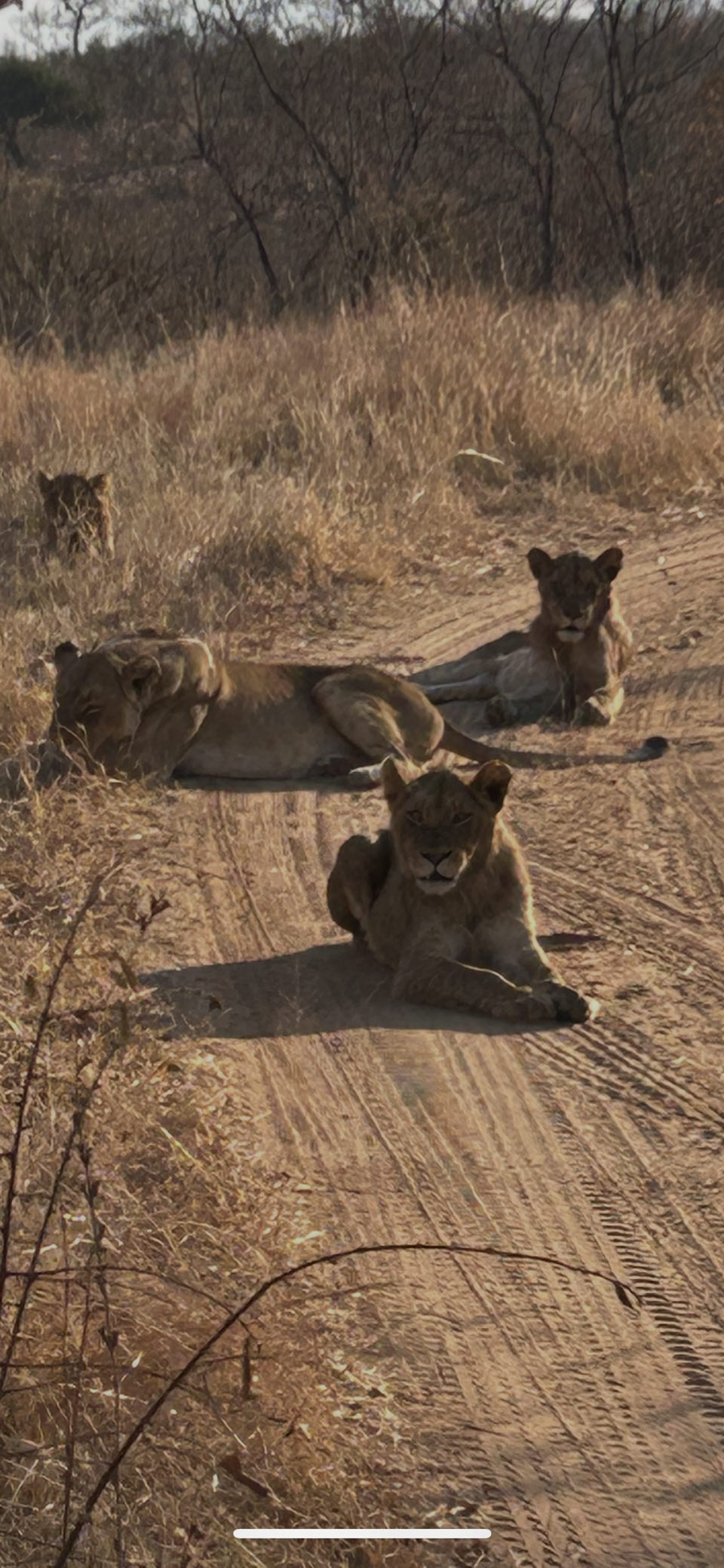 Maruleng Local Municipality, South Africa - Polarsteps