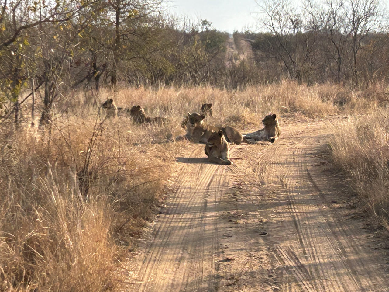 Maruleng Local Municipality, South Africa - Polarsteps