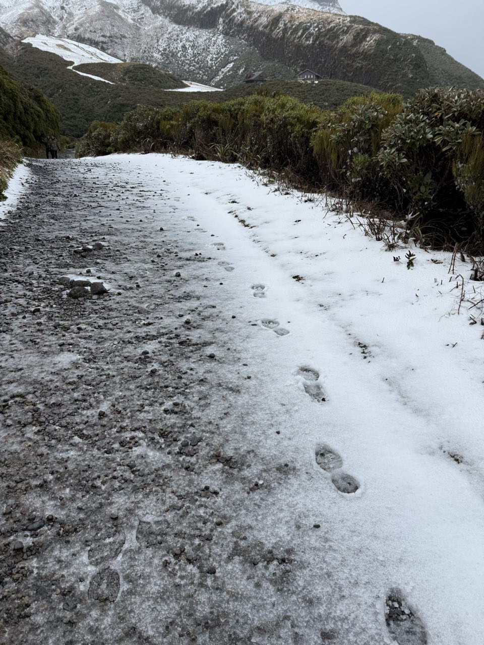 Egmont National Park, New Zealand - Polarsteps