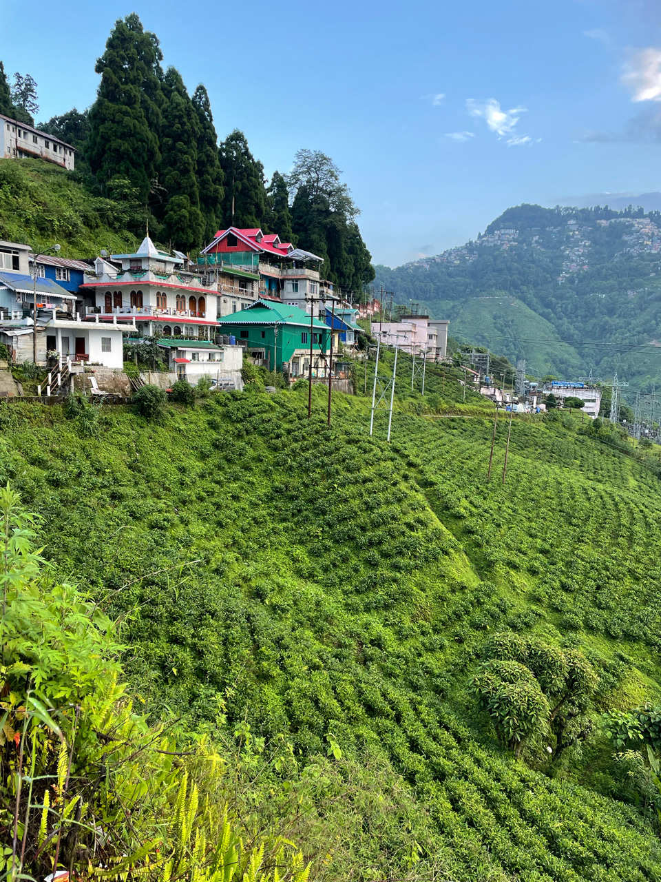 Darjeeling, India - Polarsteps
