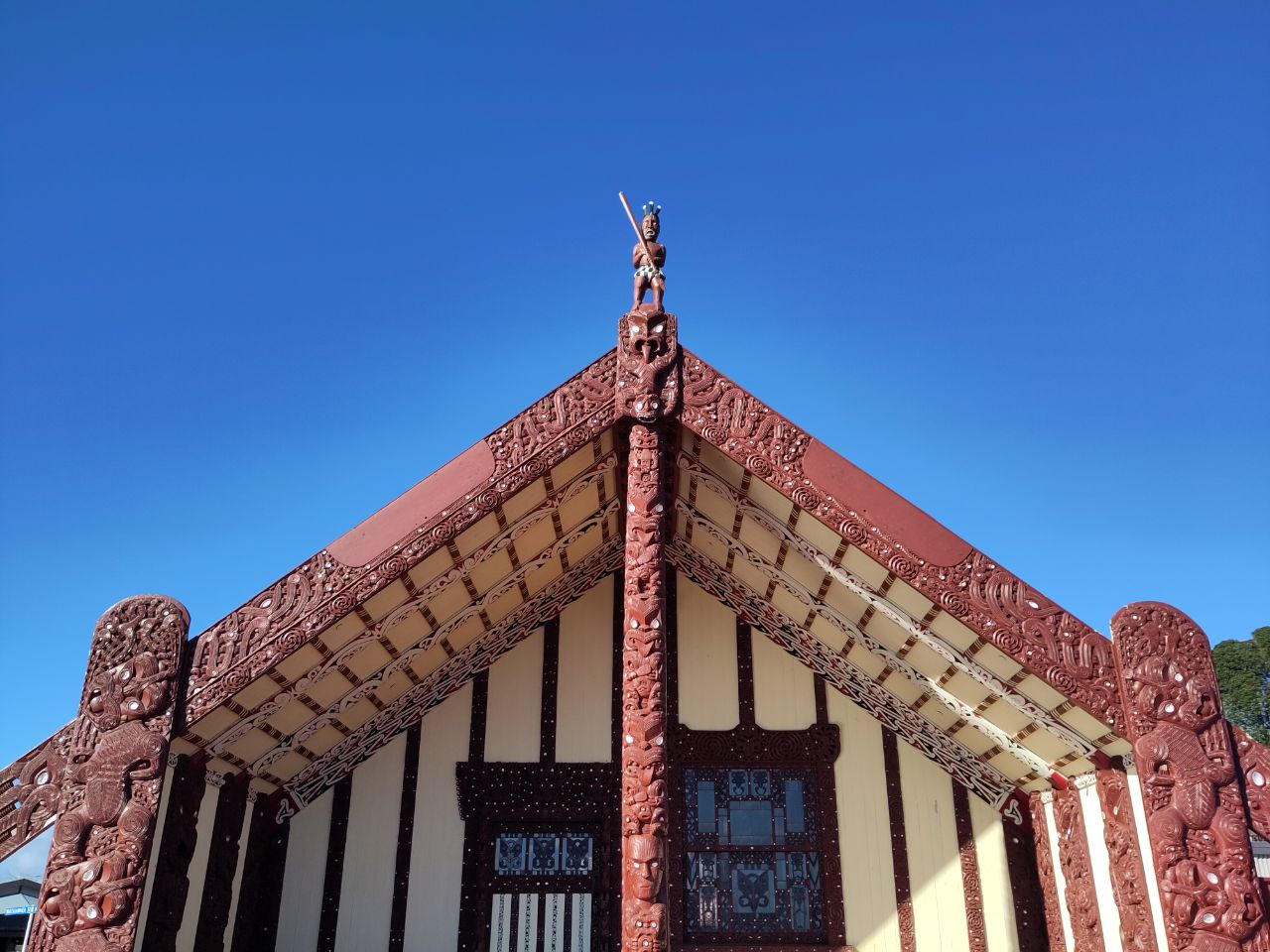 Matamata Piako District, New Zealand - Polarsteps