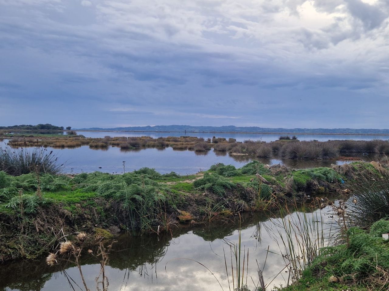 Rodia Wetland Center-Amvrakikos Gulf, Greece - Polarsteps