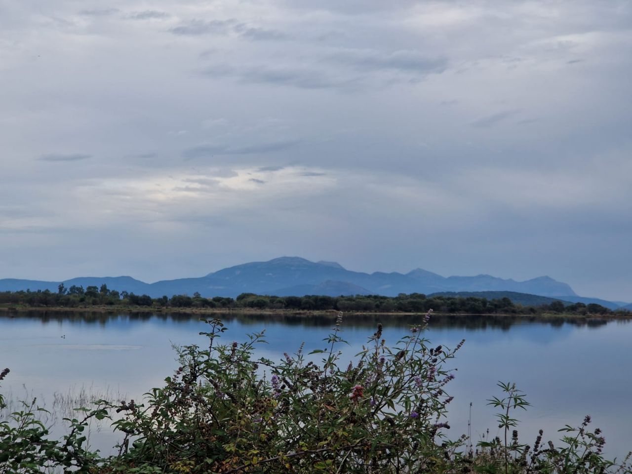 Rodia Wetland Center-Amvrakikos Gulf, Greece - Polarsteps