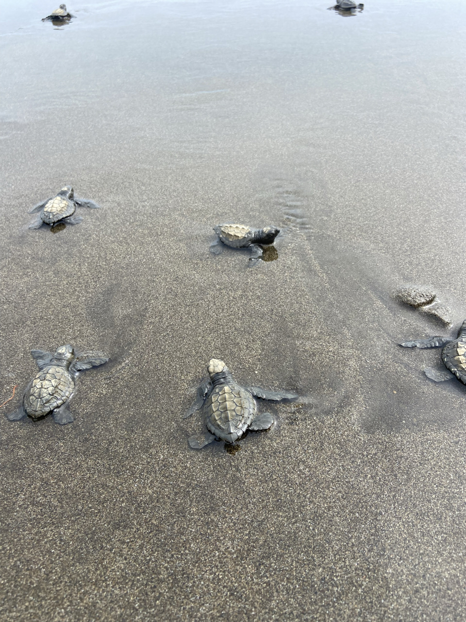 Bahía Solano (Mutis), Colombia - Polarsteps