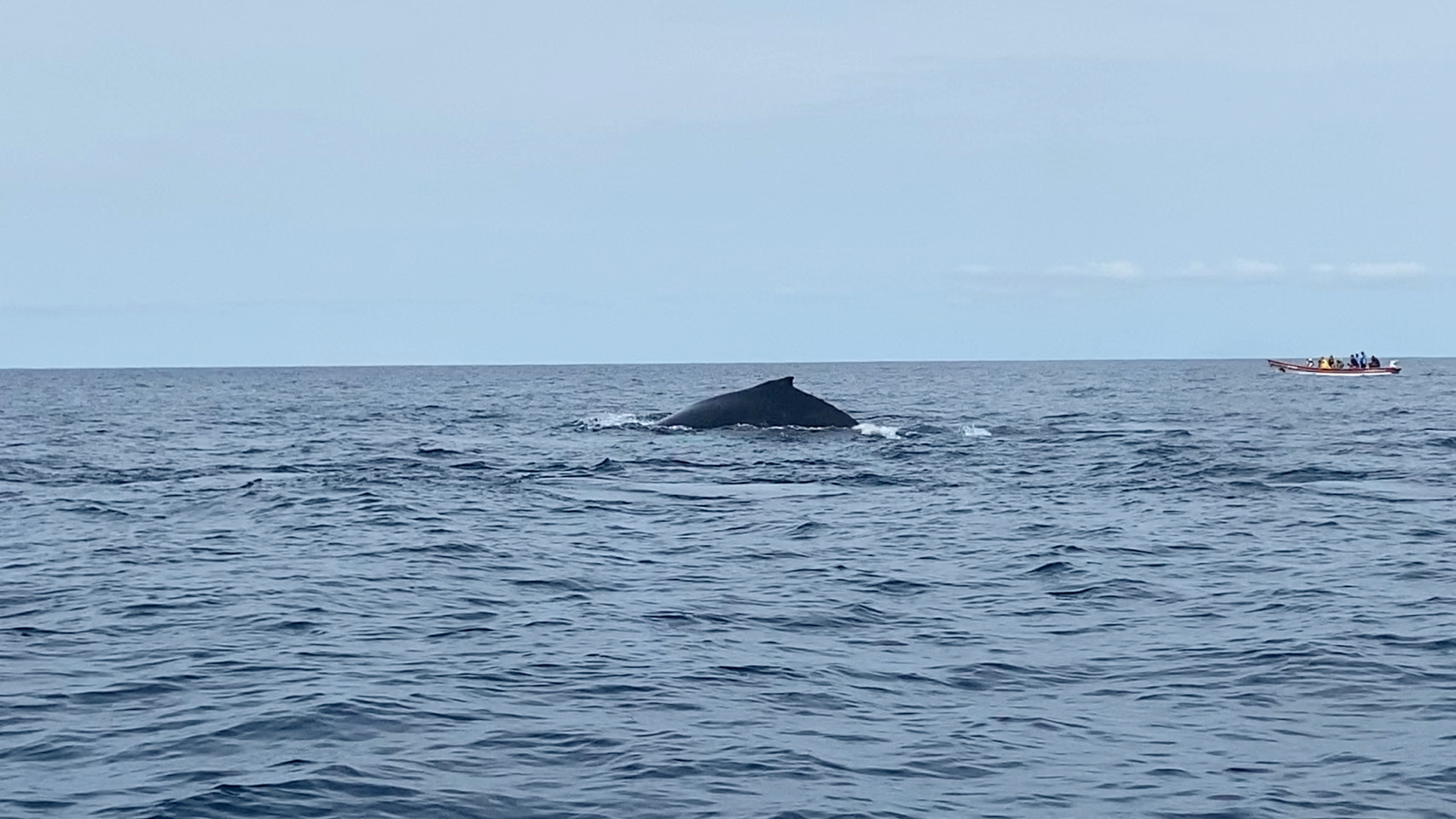 Bahía Solano (Mutis)