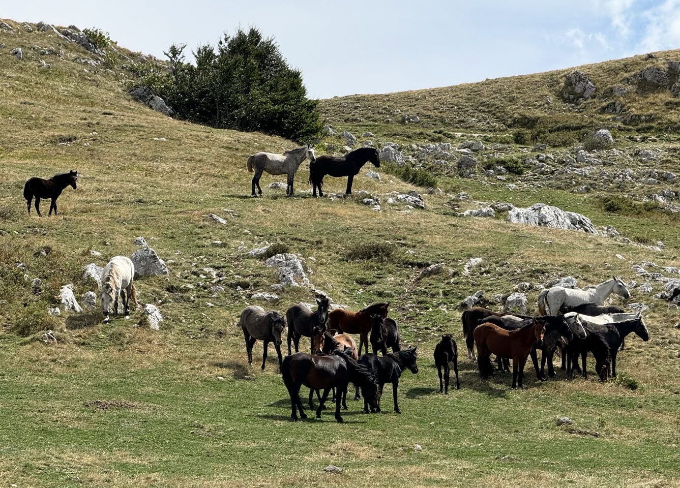 Glamoč municipality, Bosnia and Herzegovina - Polarsteps