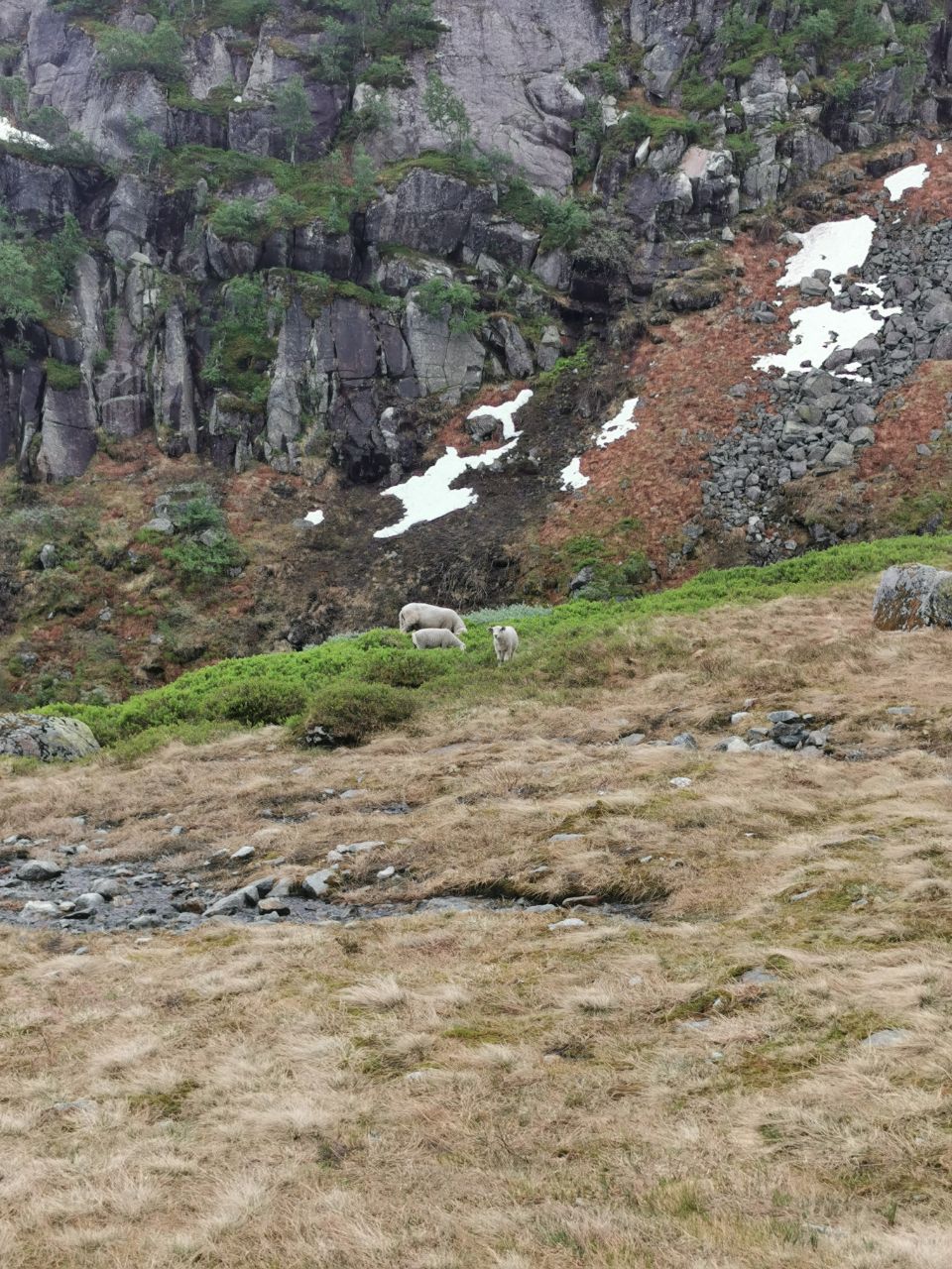 Sauda, Norway - Polarsteps