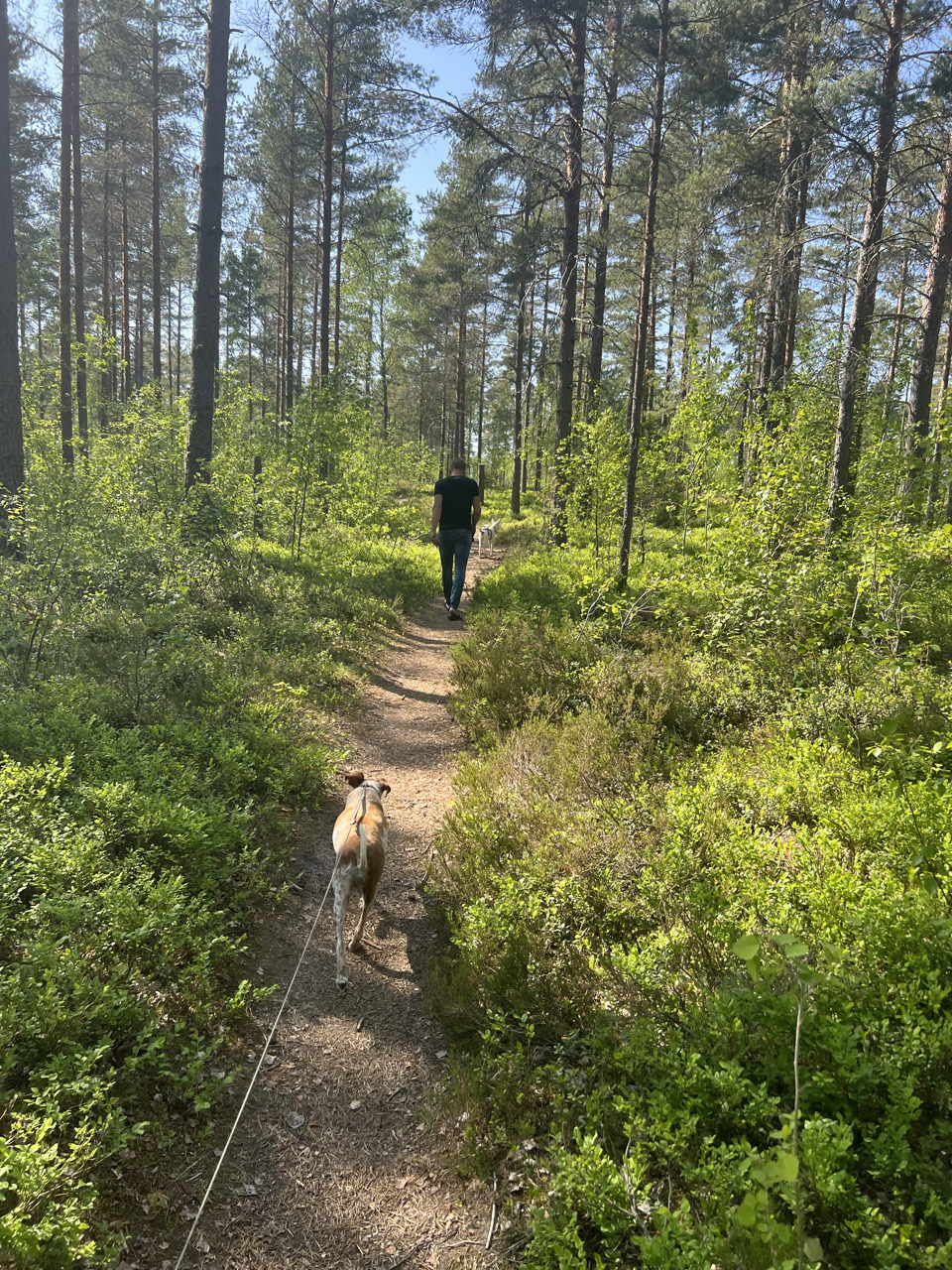 Hammarö kommun, Sweden - Polarsteps