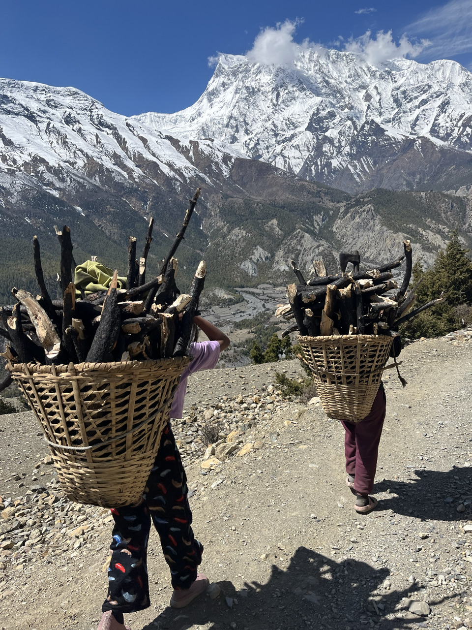 Tanki Manang, Nepal - Polarsteps