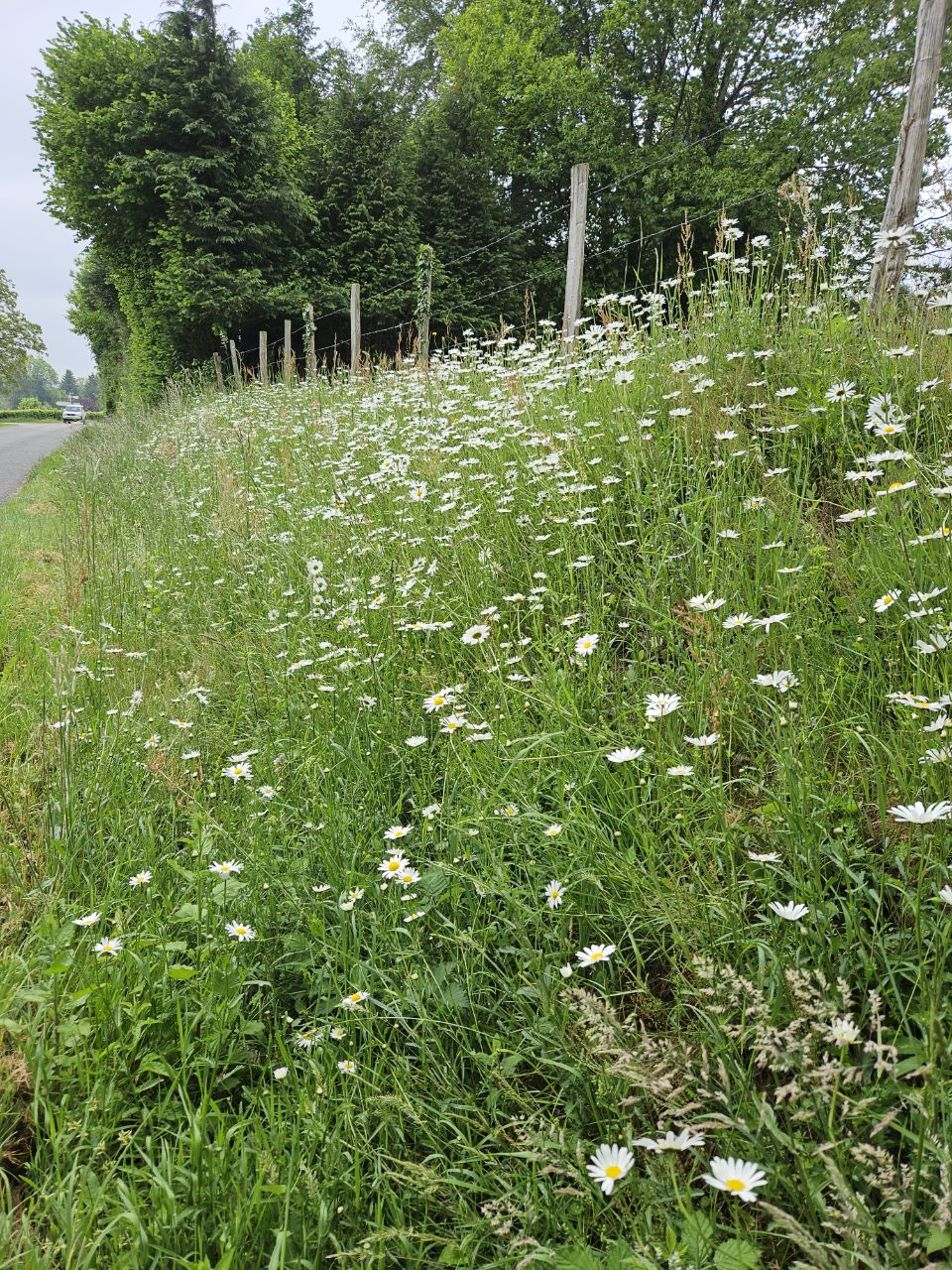 ChâtelusleMarcheix, France Polarsteps