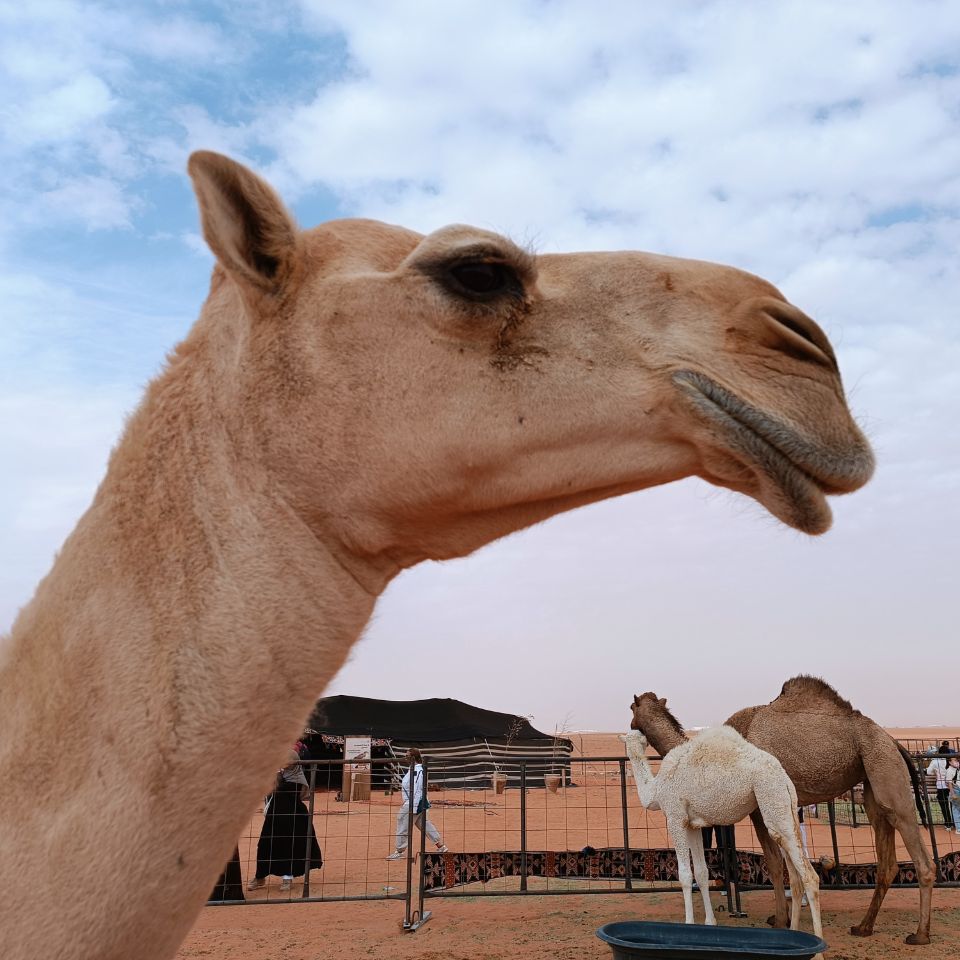 Riyadh, Saudi Arabia - Polarsteps