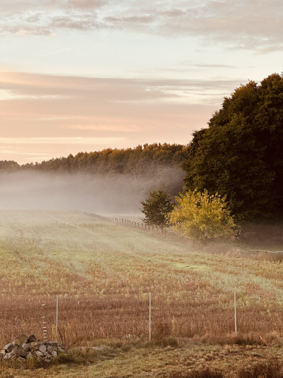🇩🇪 Kurztrip Mirow