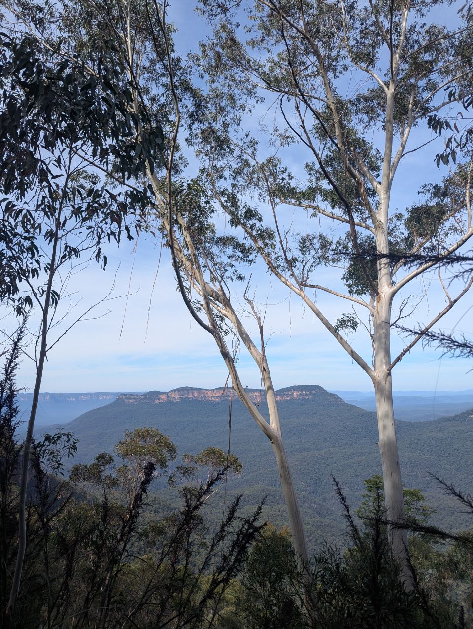 Kolonga Labyrinth, Australia - Polarsteps