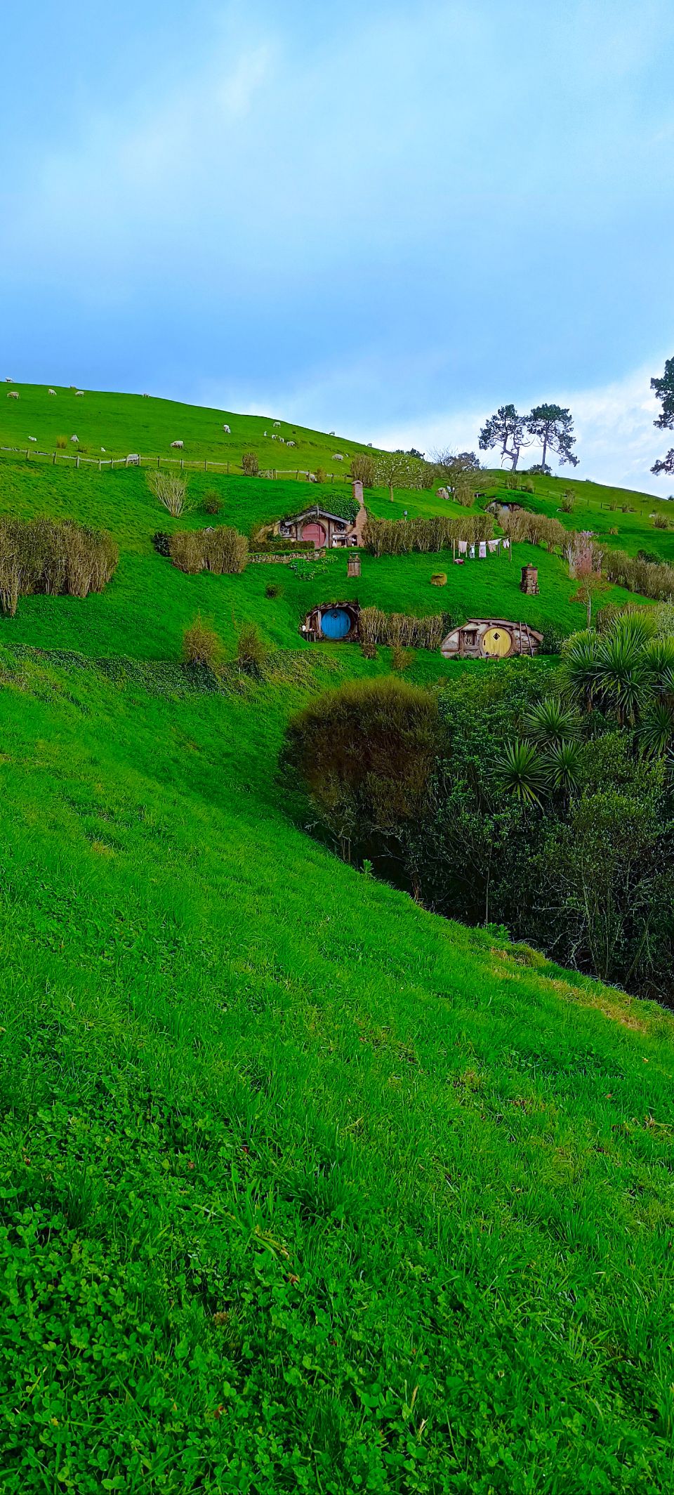 Matamata Piako District, New Zealand - Polarsteps