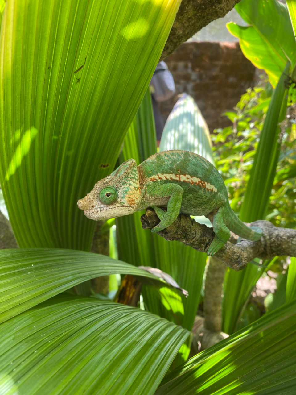 Mandraka Park, Madagascar - Polarsteps